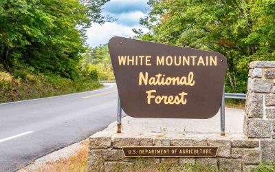 National/State/Historic Parks