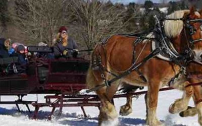 Escape the Everyday This Holiday Season